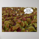 Recherche de carnivore posters Plantes carnivores