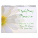 Search for daisy calendars chrysanthemum