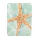 Recherche de étoiles mer magnets Coquilles de mer