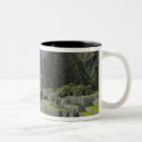 Recherche de inca tasses Amérique du sud