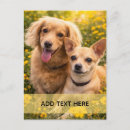 Recherche de ajoutez cartes postales Floral