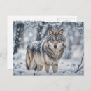 Search for wolf christmas cards Wildlife