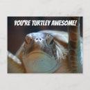 Search for funny turtles postcards Awesome
