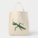 Search for mantis accessories Entomology