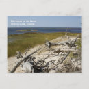 Recherche de driftwood posters Eau