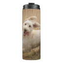 Recherche de chien courant tasses Animal