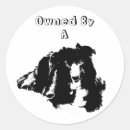 Search for border collie funny stickers Animal
