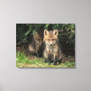 Search for sibling canvas prints Nature
