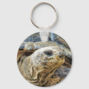 Search for tortoise round keychains Animals