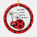 Recherche de coccinelle ornements Amour