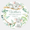 Search for baby koala stickers Eucalyptus