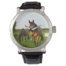 Recherche de amants de vache accessoires Animaux