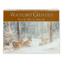 Search for woodland creatures Wildlife