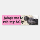 Search for black lab bumper stickers Pet
