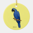 Search for macaw ornaments Bird