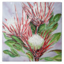 Search for australia tiles Red