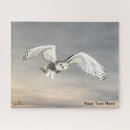 Search for snowy owl puzzles Bubo scandiacus