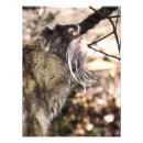 Recherche de empereurs posters Animaux