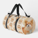 Recherche de chihuahua sacs Dog