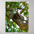 Search for abstract trees posters Wild