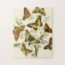 Recherche de ailes puzzles Orange