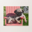 Recherche de pug puzzles Chien