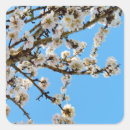 Search for embrace stickers Flowers