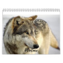 Recherche de loup calendriers Nature