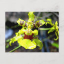 Search for amazon postcards Nature