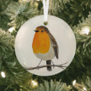 Search for english robin ornaments Bird