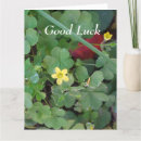Search for good friend cards Flowers