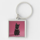 Search for necklace keychains Cats