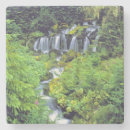 Search for adams coasters Nature
