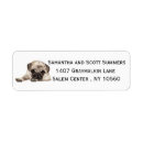 Search for pug dog return address labels Puppy