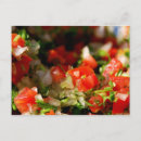 Recherche de salsa cartes postales Mexique