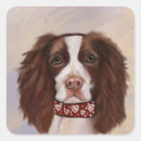 Recherche de springer anglais autocollants Spaniels