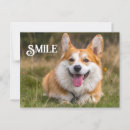 Search for funny corgis postcards Dog
