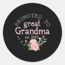 Search for promoted to grandma stickers First time grandma