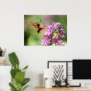 Search for hummingbird posters Purple