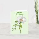 Search for dancer birthday cards Ballerina