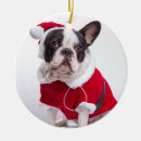 Search for dog costume ornaments Black