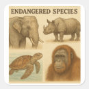 Search for endangered species stickers Wildlife conservation