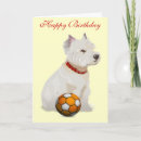 Search for westie birthday cards Happy