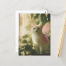 Recherche de superbe cartes postales Blanc