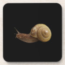 Recherche de militaire dessous de verres Cool