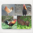 Search for hen mousepads Rooster