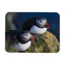 Recherche de atlantique magnets Europe
