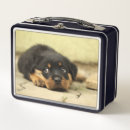 Search for puppy lunch boxes Puppies