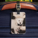 Search for dog napping accessories Puppy