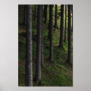 Search for green moss posters Tree
